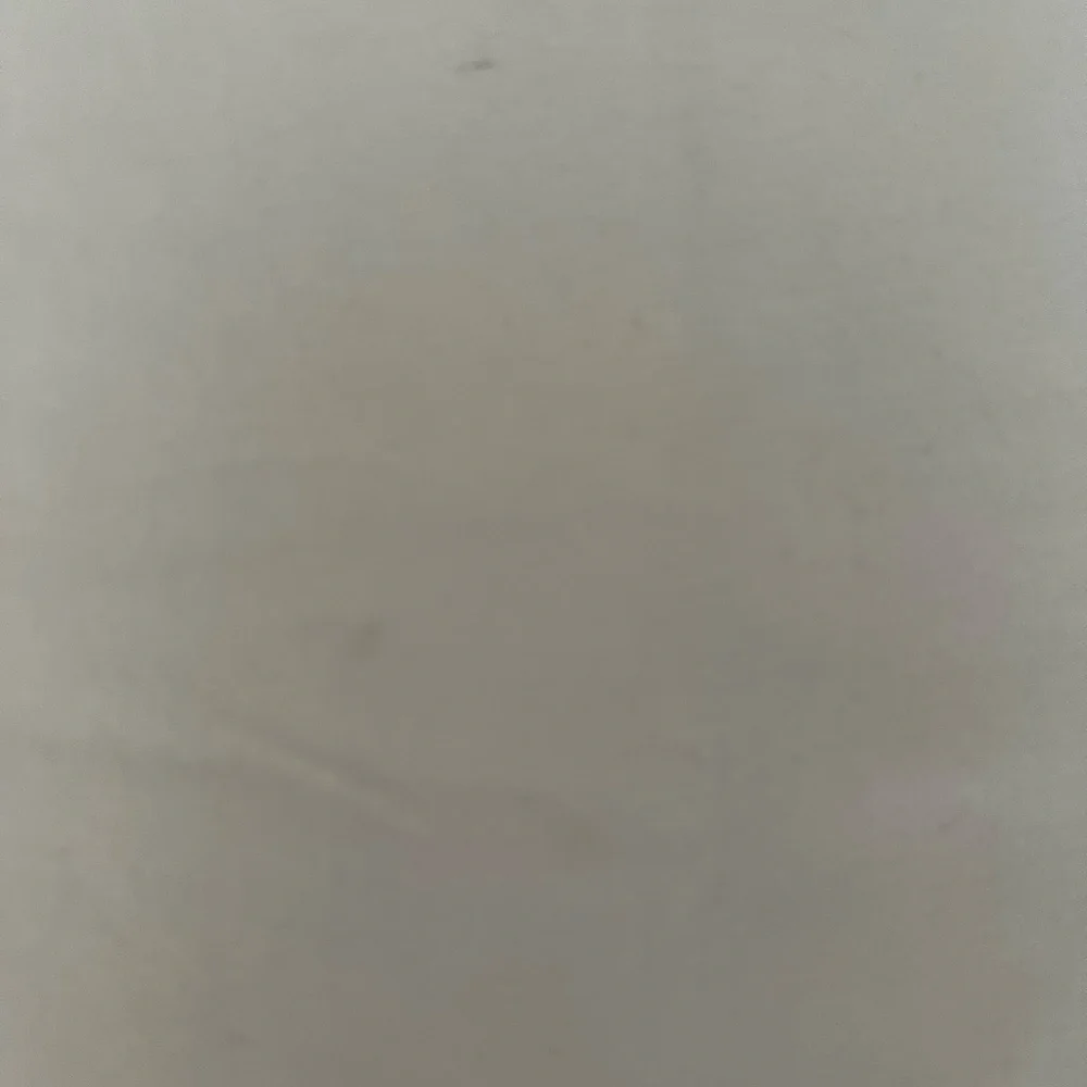 Zara  Short Sleeve Tee